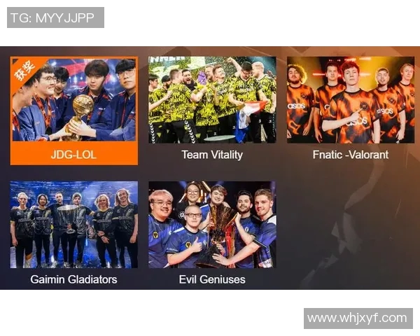 CSGO盛宴揭秘JDG选手个人能力的独特魅力与战术运用分析